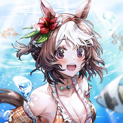 This is a pixiv picture whose title is スペシャルウィーク.