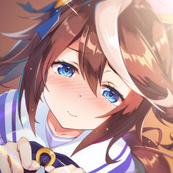 This is a pixiv picture whose title is トウカイテイオー.