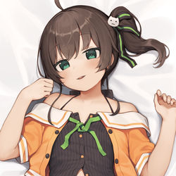 This is a pixiv picture whose title is まつりちゃんの抱き枕カバー描きました.