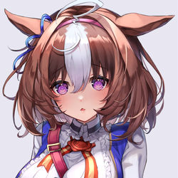 This is a pixiv picture whose title is メイショウドトウ.