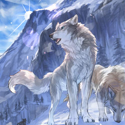 This is a pixiv picture whose title is 狼.