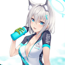 This is a pixiv picture whose title is 【ブルーアーカイブ】シロコ.