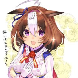 This is a pixiv picture whose title is 救いはあるメイショウドトウ.