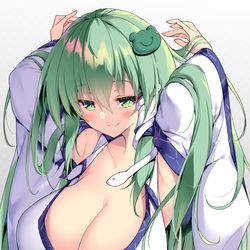 This is a pixiv picture whose title is 風祝の果実.