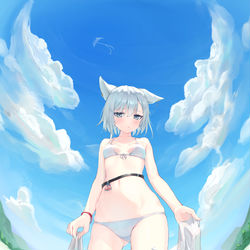 This is a pixiv picture whose title is 夏のケモミミ.