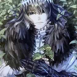 This is a pixiv picture whose title is オベロン.
