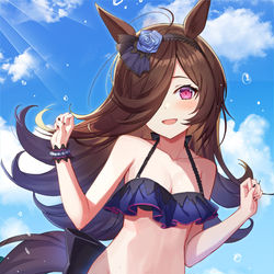 This is a pixiv picture whose title is ライスちゃん.