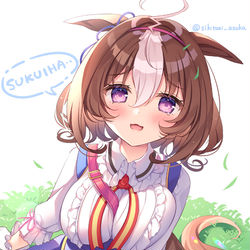 This is a pixiv picture whose title is こけちゃったメイショウドトウ.