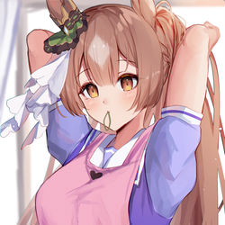 This is a pixiv picture whose title is エプロン.
