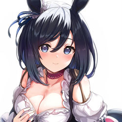 This is a pixiv picture whose title is エイシンフラッシュ.