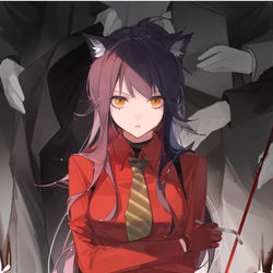 This is a pixiv picture whose title is 意志.