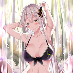 This is a pixiv picture whose title is 水浴びドナさん.