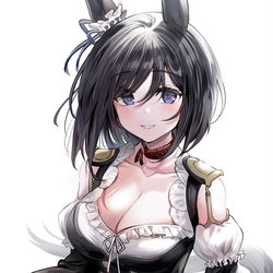 This is a pixiv picture whose title is エイシンフラッシュ.