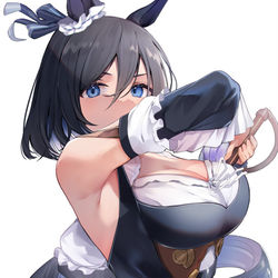 This is a pixiv picture whose title is エイシンフラッシュ.