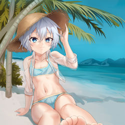 This is a pixiv picture whose title is 沙滩&泳装.