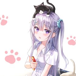 This is a pixiv picture whose title is 猫.