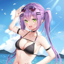 This is a pixiv picture whose title is トワ様.