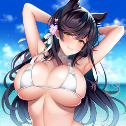 This is a pixiv picture whose title is 愛宕.