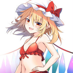 This is a pixiv picture whose title is 水着フランちゃん!.