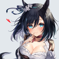 This is a pixiv picture whose title is 【3ヶ月待ってた】エイシンフラッシュ実装お祝い【ありがとう】.