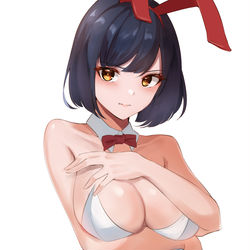 This is a pixiv picture whose title is 裟羅さん🐇.