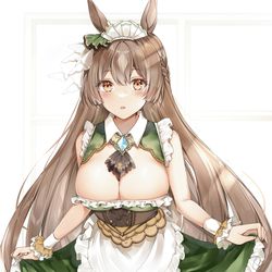 This is a pixiv picture whose title is サトノダイヤモンド.