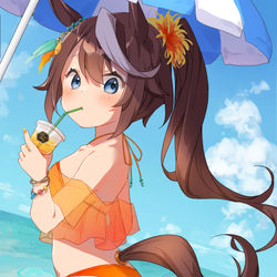 This is a pixiv picture whose title is 水着トウカイテイオー.
