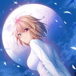 This is a pixiv picture whose title is 月姫.