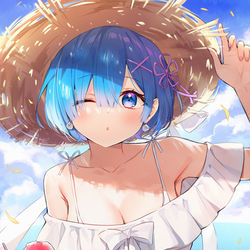 This is a pixiv picture whose title is レムと夏.