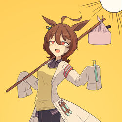 This is a pixiv picture whose title is 愚者.