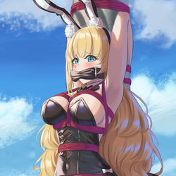 This is a pixiv picture whose title is North carolina - alts.