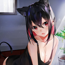 This is a pixiv picture whose title is 寝起き猫ちゃん.