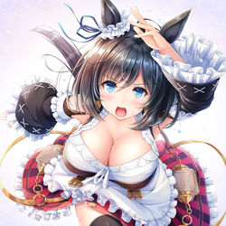 This is a pixiv picture whose title is エイシンフラッシュ.