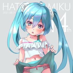 This is a pixiv picture whose title is ミクさん14さい.