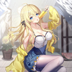 This is a pixiv picture whose title is 夏日双葉.