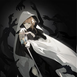 This is a pixiv picture whose title is THE SHADOW.