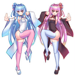 This is a pixiv picture whose title is 練習琴葉ﾁｬｲﾅ姉妹.