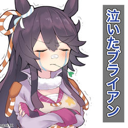 This is a pixiv picture whose title is 感動で震えるナリタブライアン.