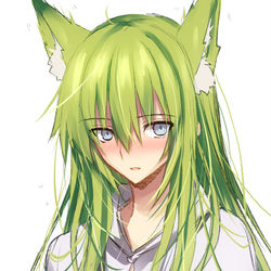 This is a pixiv picture whose title is らくがき久々のケモ耳エルキドゥ.