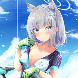 This is a pixiv picture whose title is Rシロコ.
