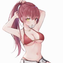 This is a pixiv picture whose title is 水着マリン船長.