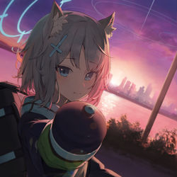 This is a pixiv picture whose title is シロコ.