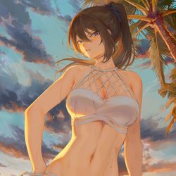 This is a pixiv picture whose title is 夕焼けビーチで撮影中の三女の乙葵ちゃん.