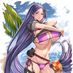 This is a pixiv picture whose title is 源頼光（水着）.