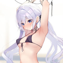 This is a pixiv picture whose title is 銀髪ツインテちゃん.