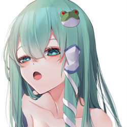 This is a pixiv picture whose title is 早苗さん.