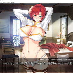 This is a pixiv picture whose title is こういうのしたい.
