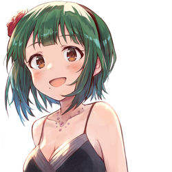 This is a pixiv picture whose title is 小鳥さん.