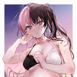 This is a pixiv picture whose title is ひなーの.