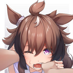 This is a pixiv picture whose title is シンコウウインディの牙を見たいなって・・・.
